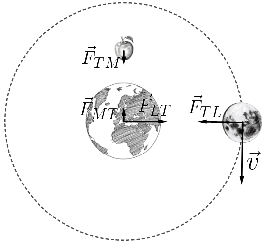 A lua e uma maça caindo por força gravitacional na Terra